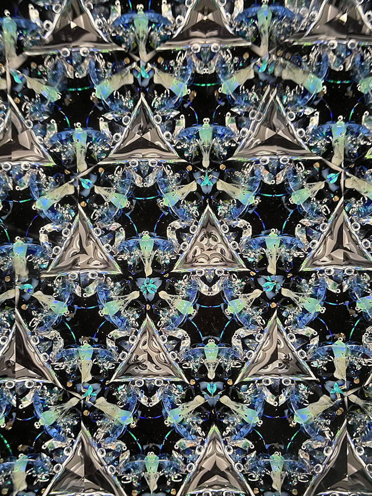 シマエナガ_PU7022_3