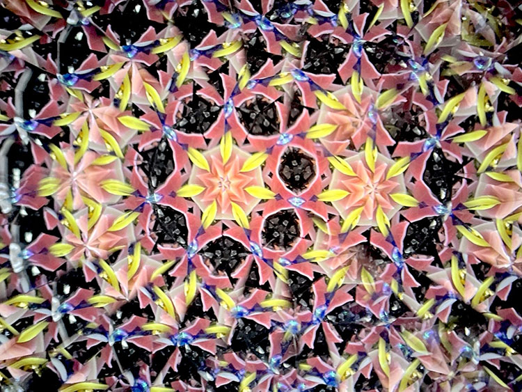 倭_SZ6010_10