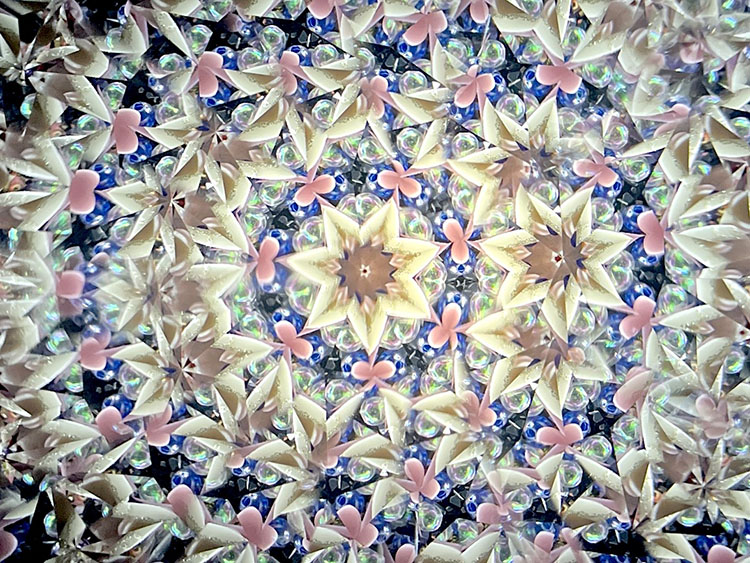 倭_SZ6013_5
