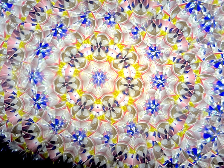 倭_SZ6013_メイン2