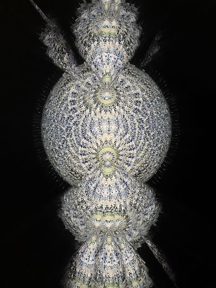 鈴木明子_PH-7069_3
