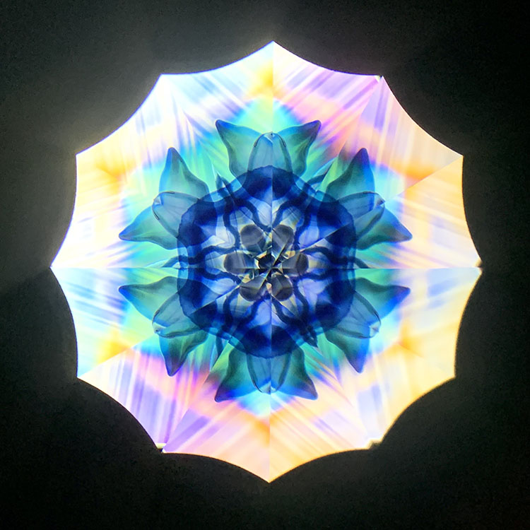 高林千稔_TK6017_メイン4