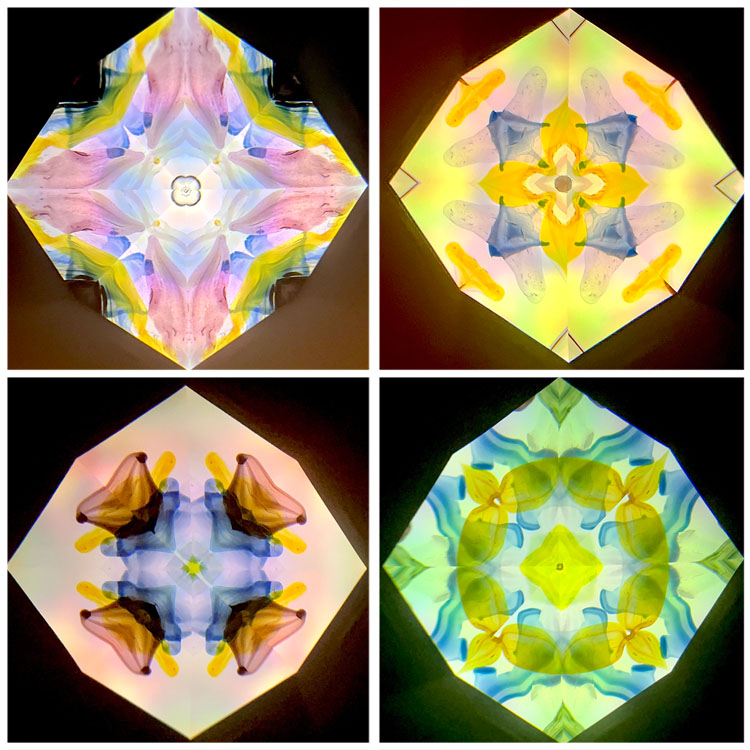 高林千稔_TK6019_4