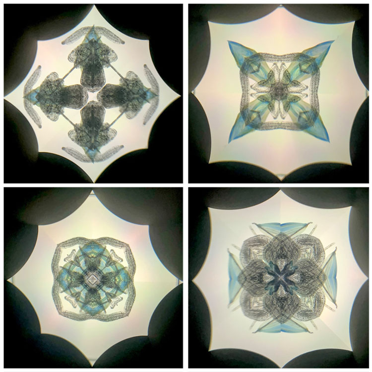 高林千稔_TK6020_1