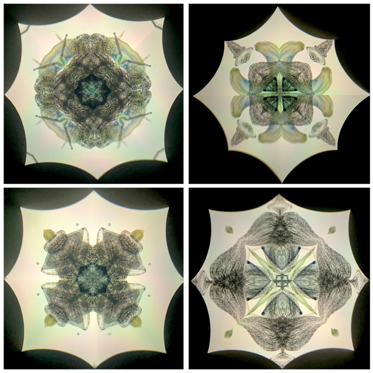 高林千稔_TK6020_3