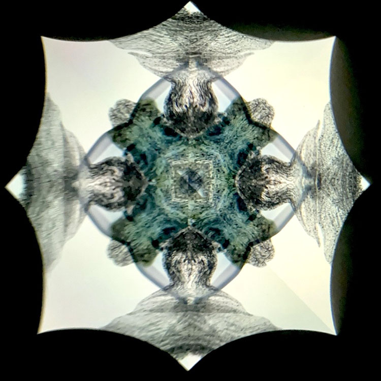 高林千稔_TK6020_メイン4