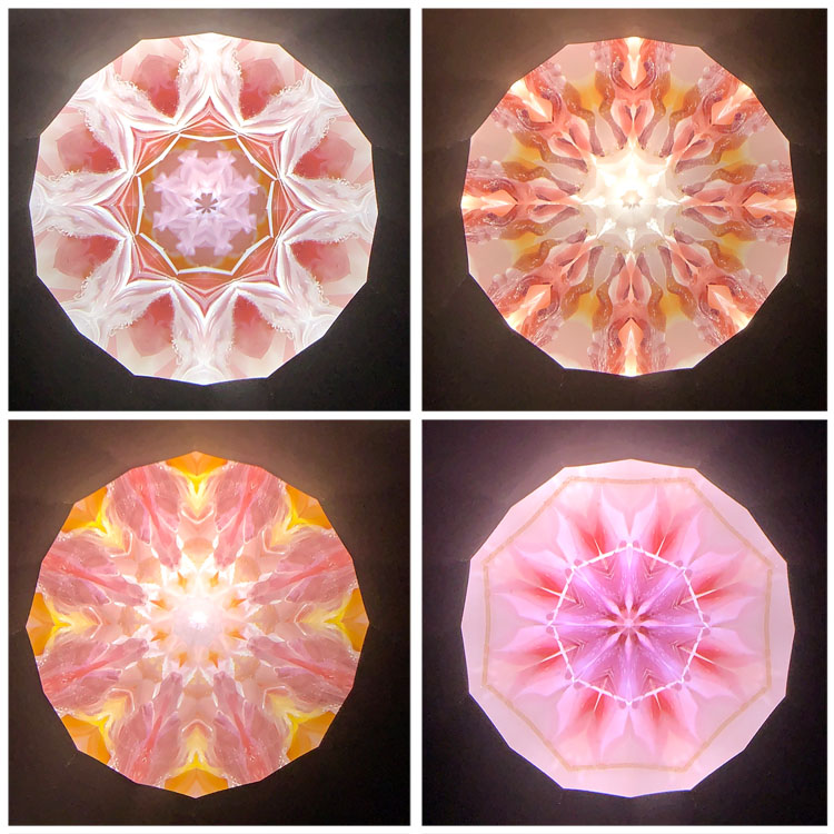 高林千稔_TK6021_1