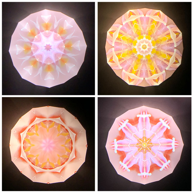 高林千稔_TK6021_2