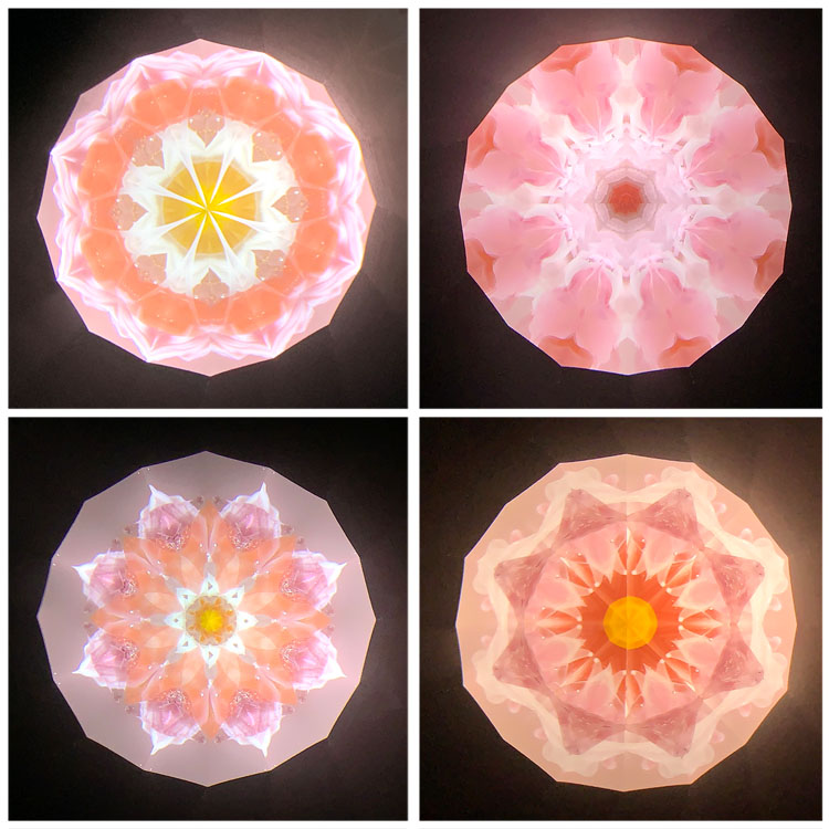 高林千稔_TK6021_3