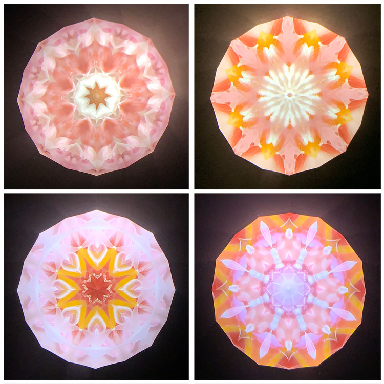 高林千稔_TK6021_4