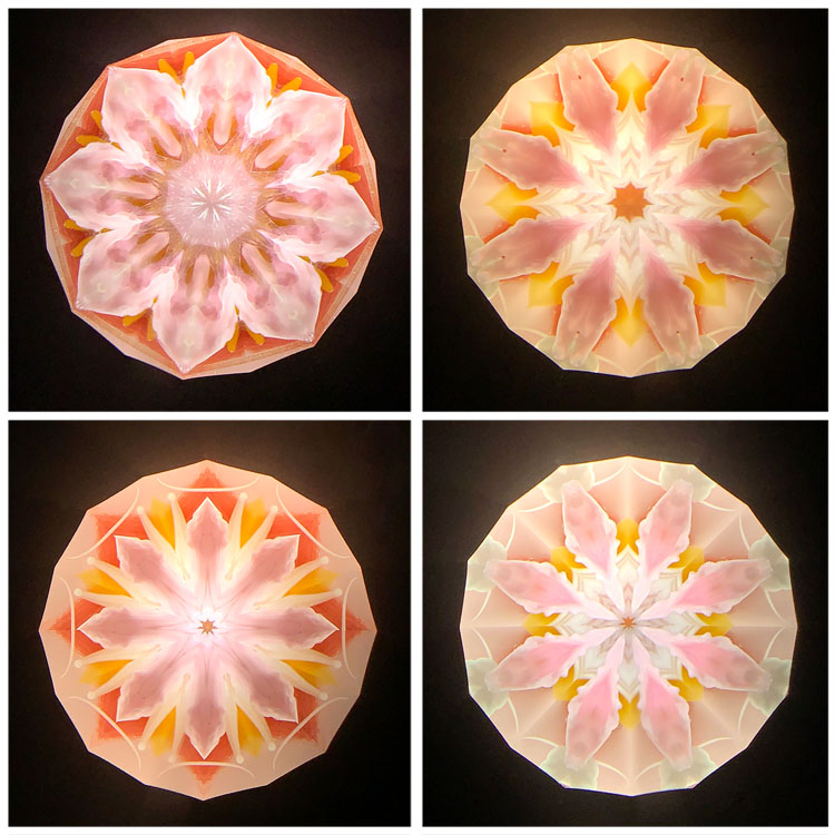 高林千稔_TK6021_5