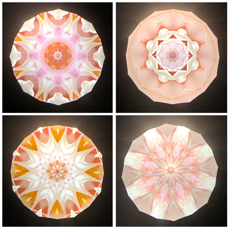 高林千稔_TK6021_6