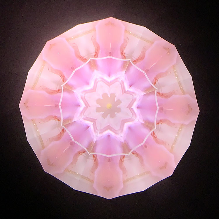 高林千稔_TK6021_メイン1