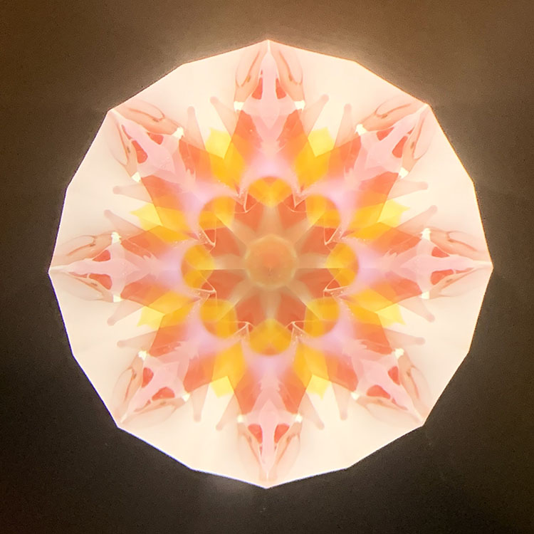 高林千稔_TK6021_メイン2