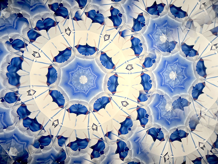 高林千稔_TK6024_19