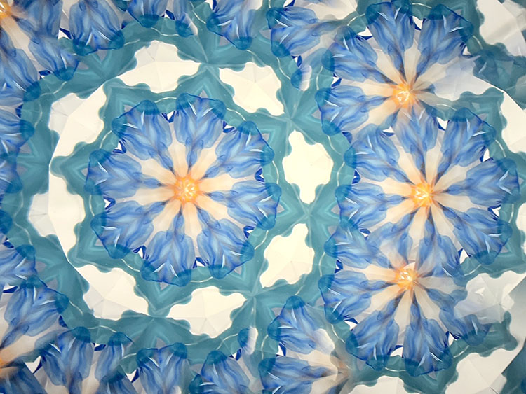 高林千稔_TK6024_3