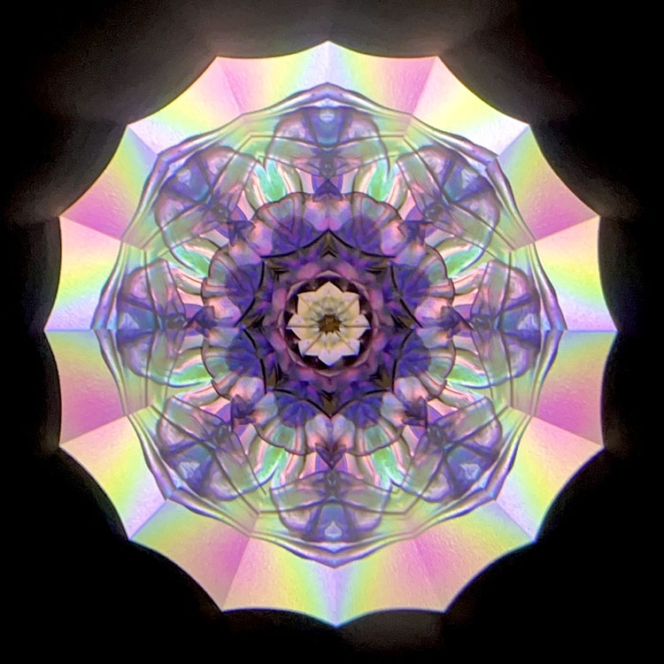 高林千稔_TK7001__メイン4