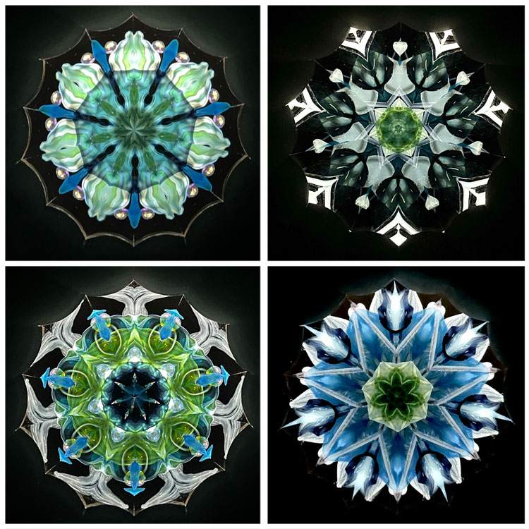 高林千稔_TK7002_2