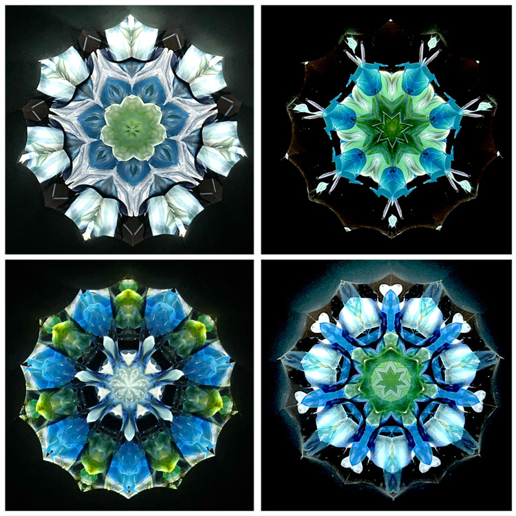 高林千稔_TK7002_3