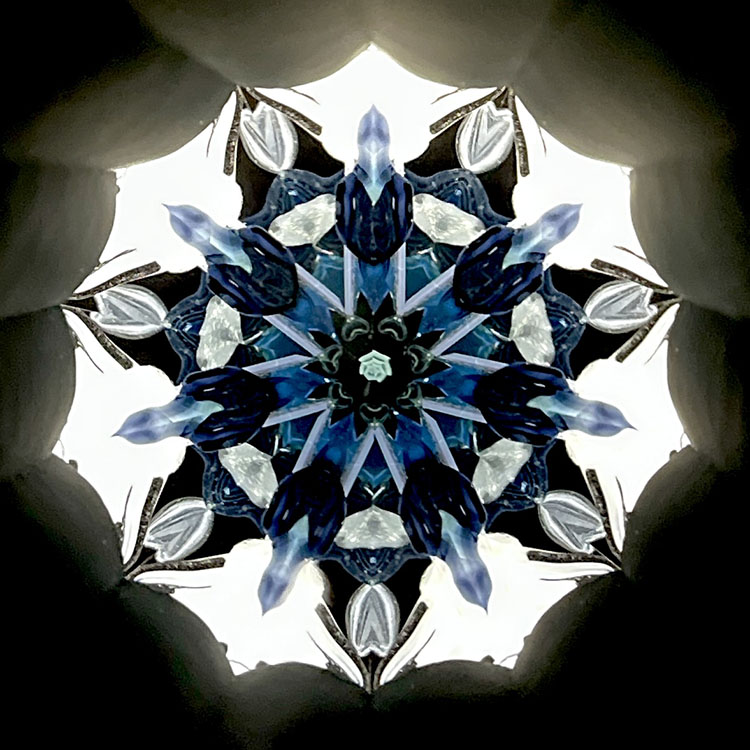 高林千稔_TK7002_メイン1