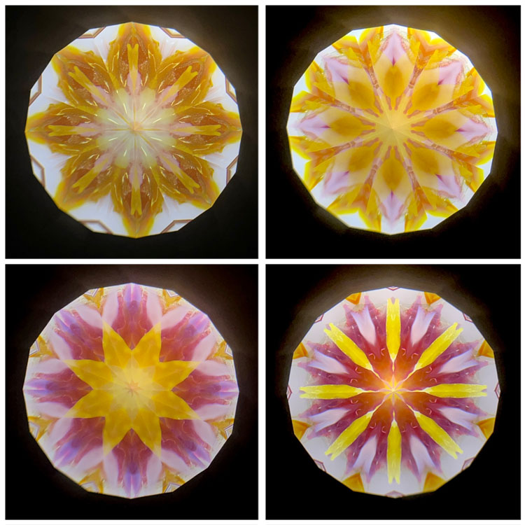 高林千稔_TK7003_1