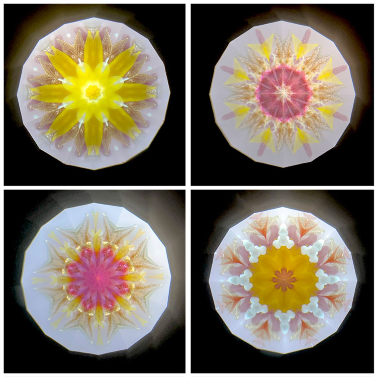 高林千稔_TK7003_2