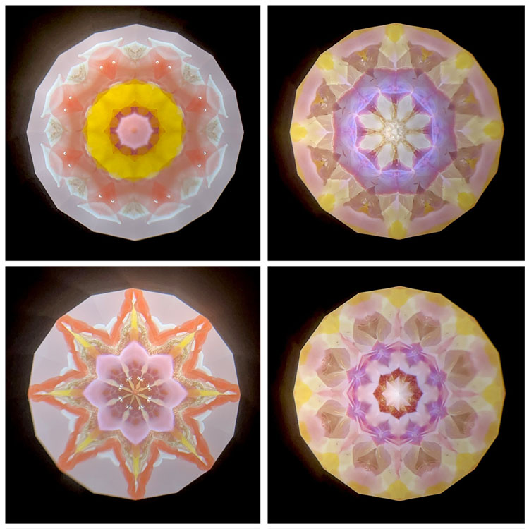 高林千稔_TK7003_3