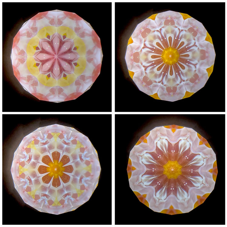 高林千稔_TK7003_4