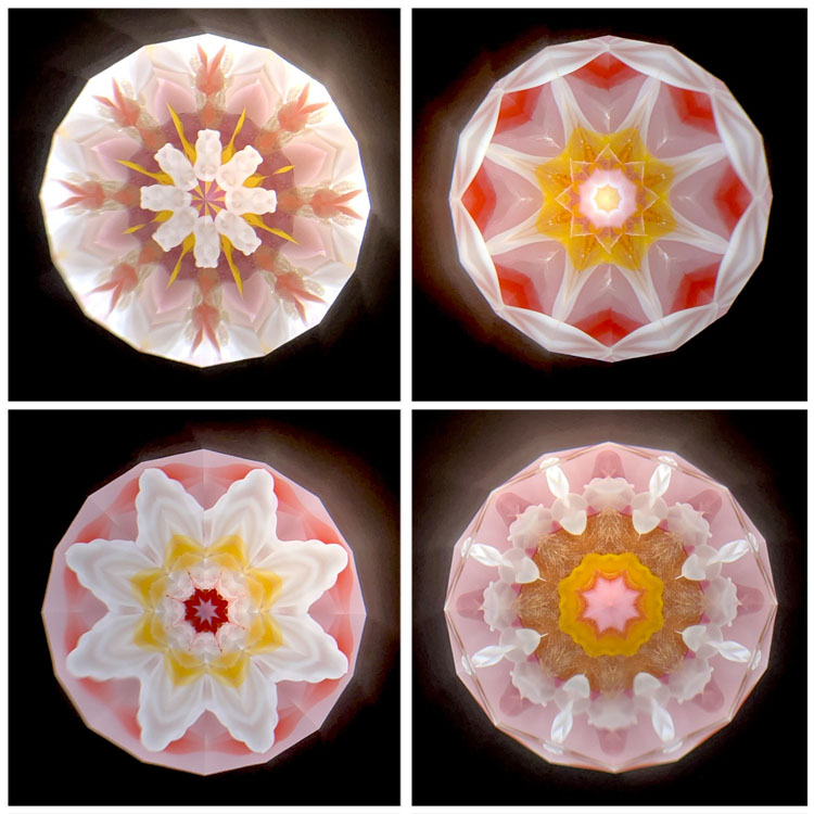 高林千稔_TK7003_5