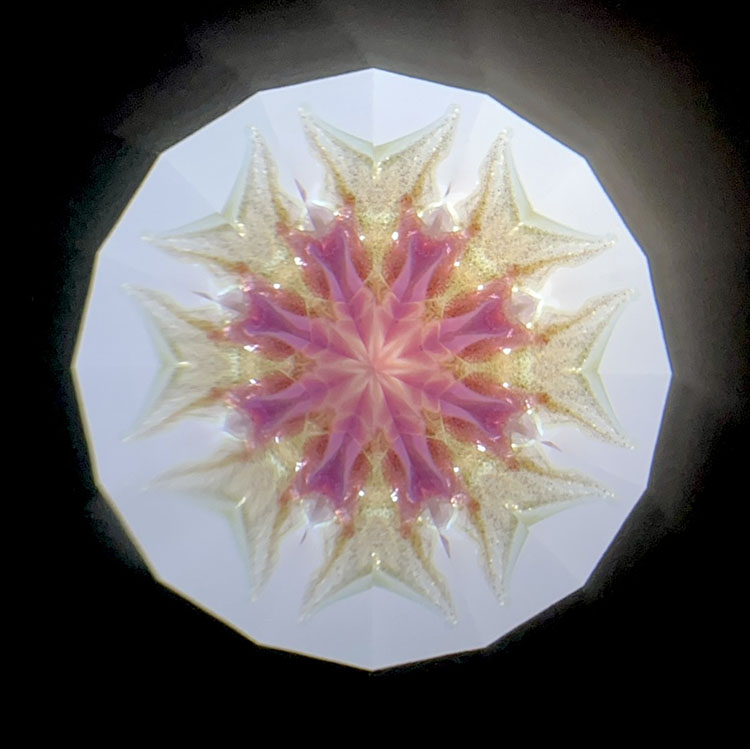 高林千稔_TK7003_メイン1