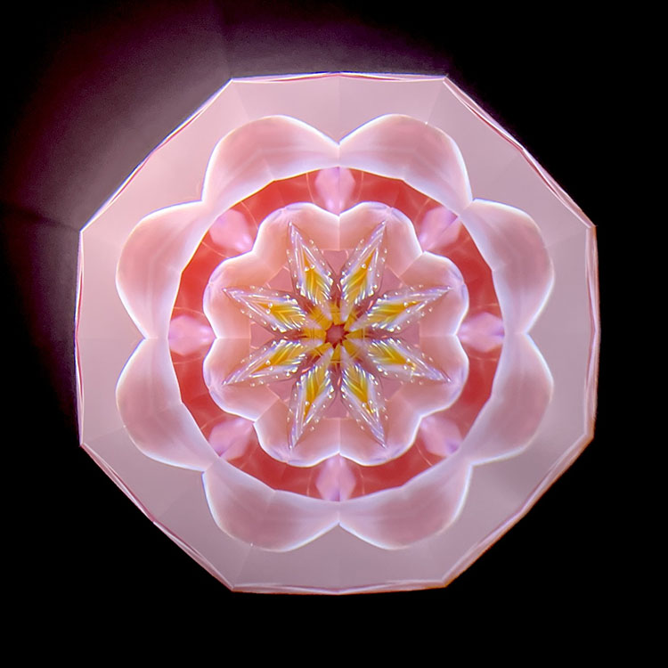 高林千稔_TK7004_メイン