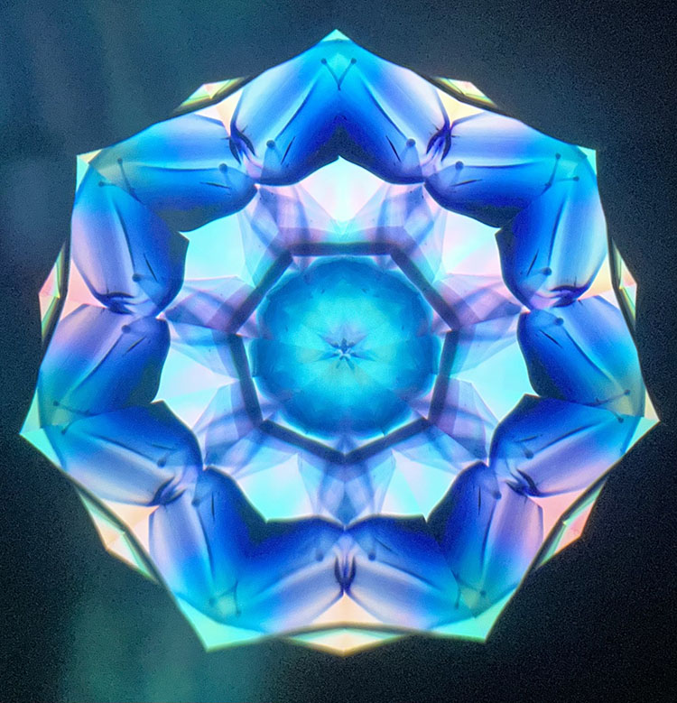 高林千稔_TK7005_メイン1