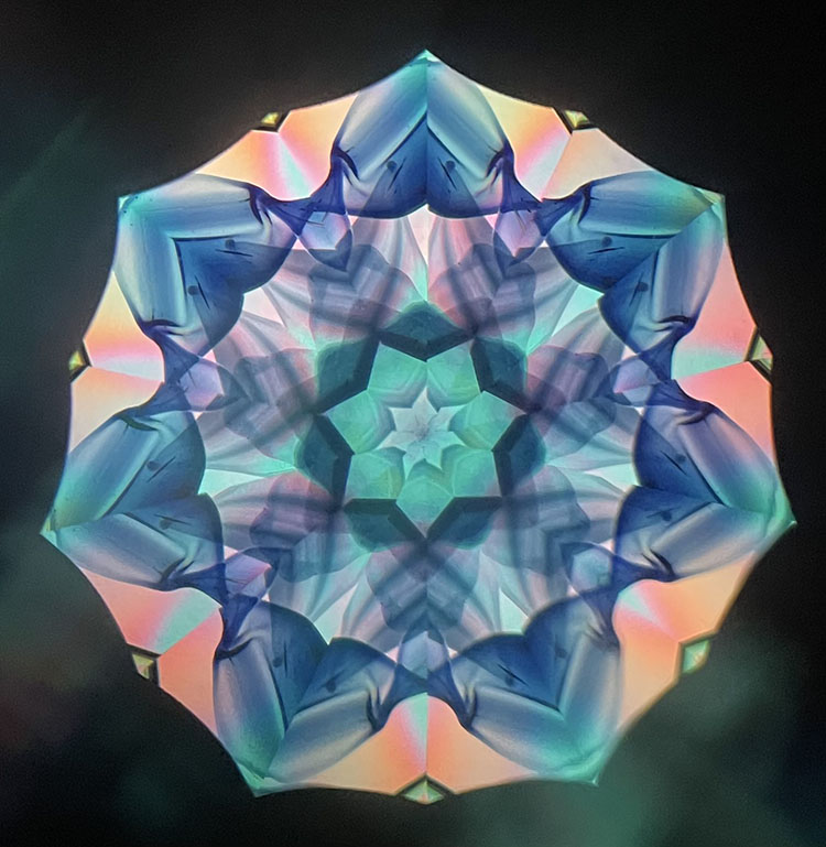 高林千稔_TK7005_メイン2