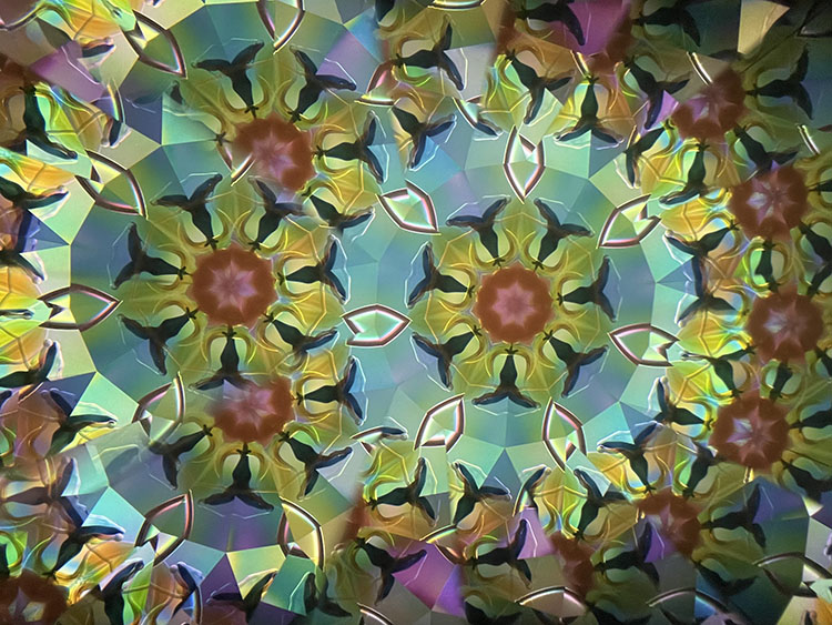 高林千稔_TK7006_12