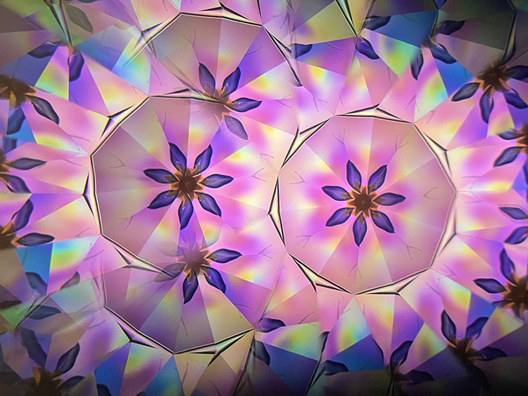 高林千稔_TK7006_2