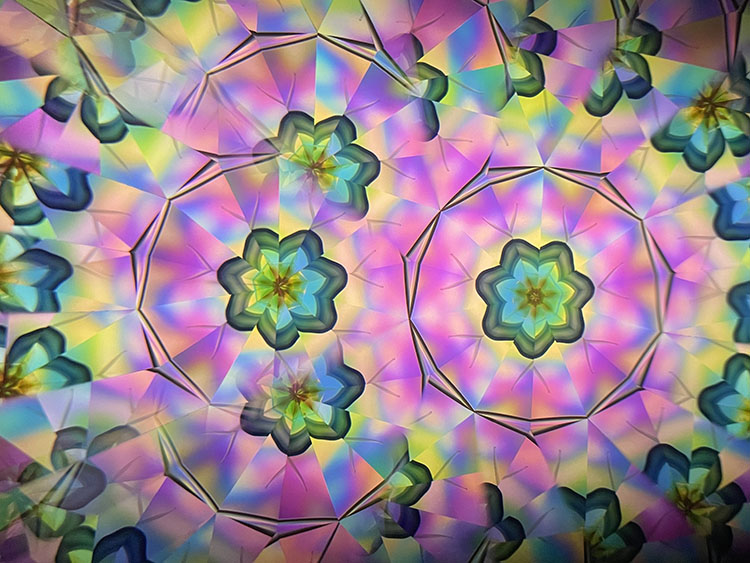 高林千稔_TK7006_3