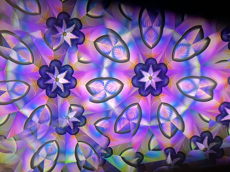 高林千稔_TK7006_5