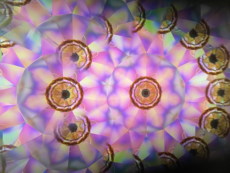 高林千稔_TK7006_6