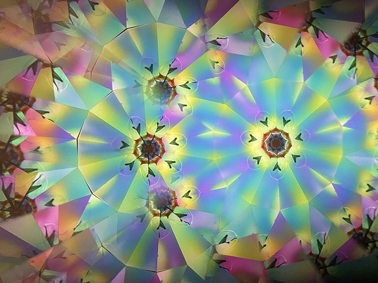 高林千稔_TK7006_8