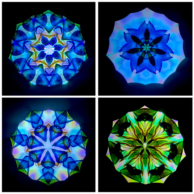 高林千稔_TK7008_1