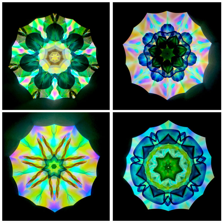 高林千稔_TK7008_2