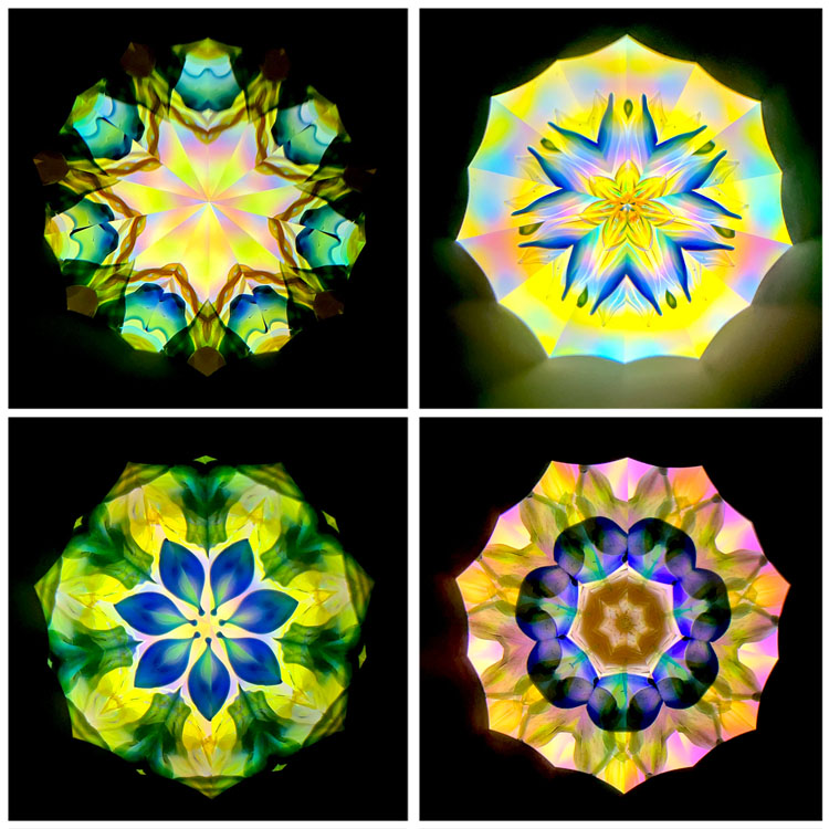 高林千稔_TK7008_5