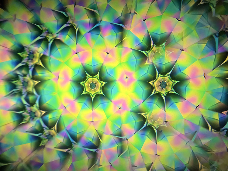 高林千稔_TK7009_1