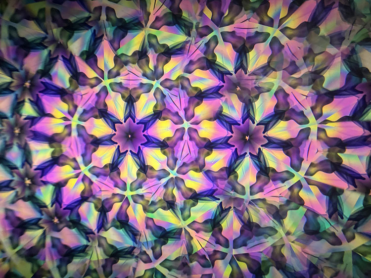 高林千稔_TK7009_4