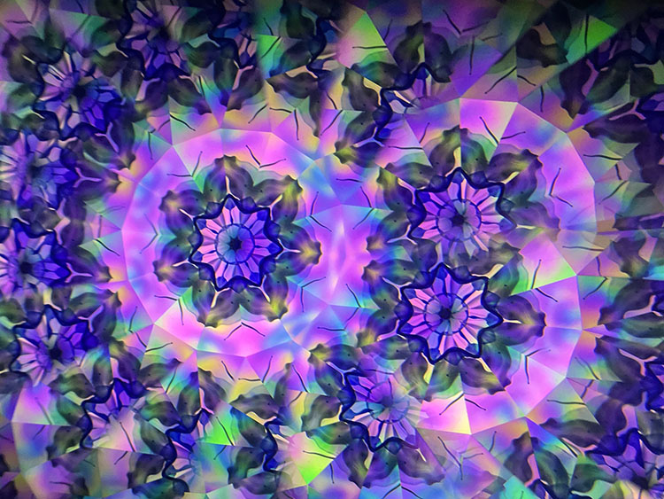 高林千稔_TK7009_6