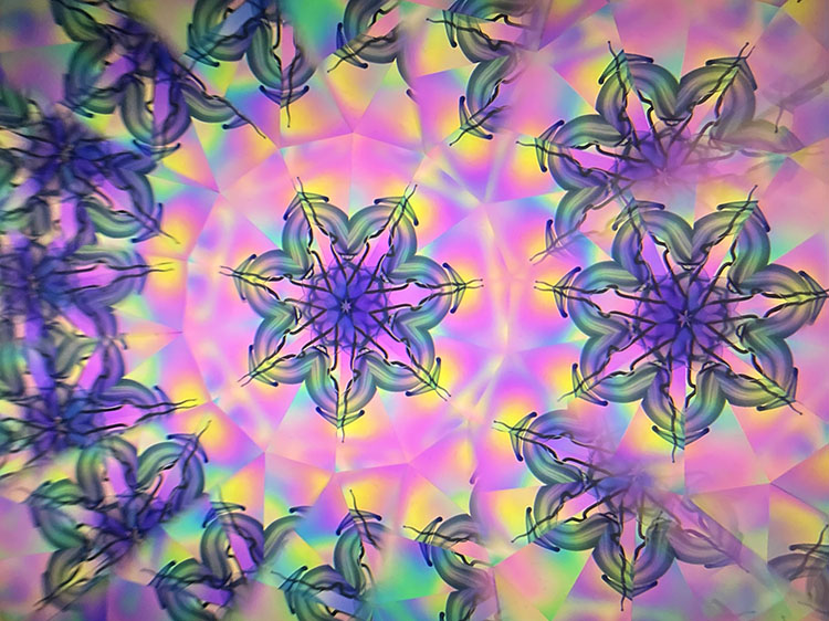 高林千稔_TK7009_7