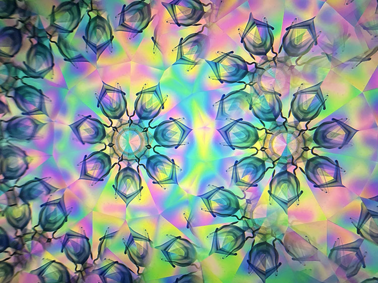 高林千稔_TK7009_8