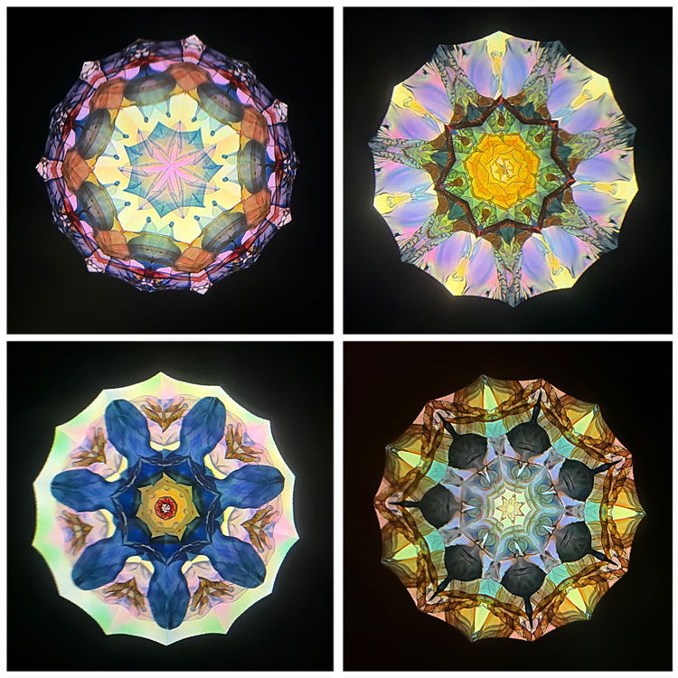 高林千稔_TK7010_1