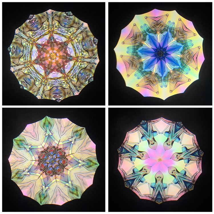 高林千稔_TK7010_3