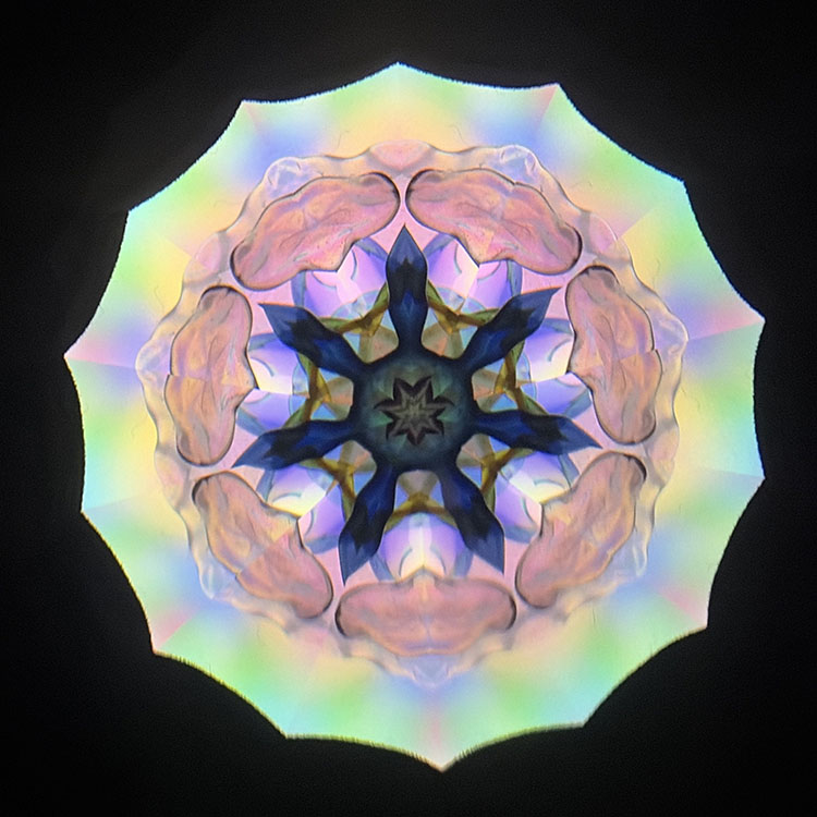 高林 千稔「Phenomenal/Classic」(TK7010)2ミラー・ドライタイプ